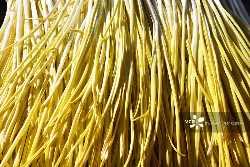 新鲜的蒜黄图片素材