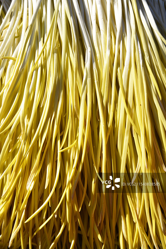 新鲜的蒜黄图片素材