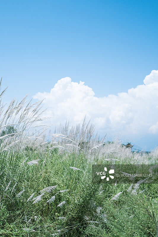 崇州元通古镇，成都版清明上河图图片素材