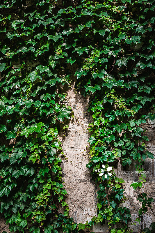 长沙潮宗街图片素材