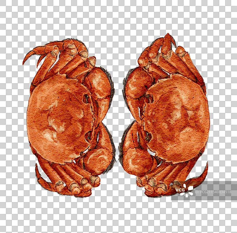 清蒸大闸蟹图片素材