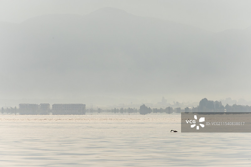 泸沽湖图片素材