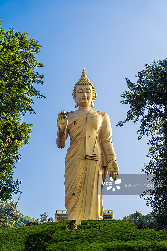 西双版纳勐泐大佛寺吉祥大佛图片素材