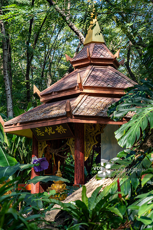 西双版纳曼听公园忘忧桥图片素材