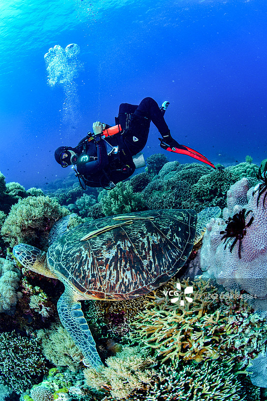 每一张照片都是我对这个神秘世界的一封情书图片素材
