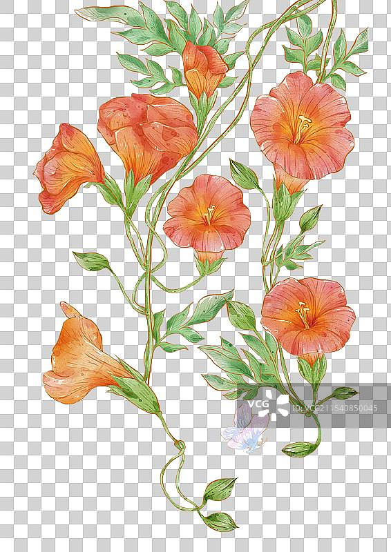 花卉素材图片素材