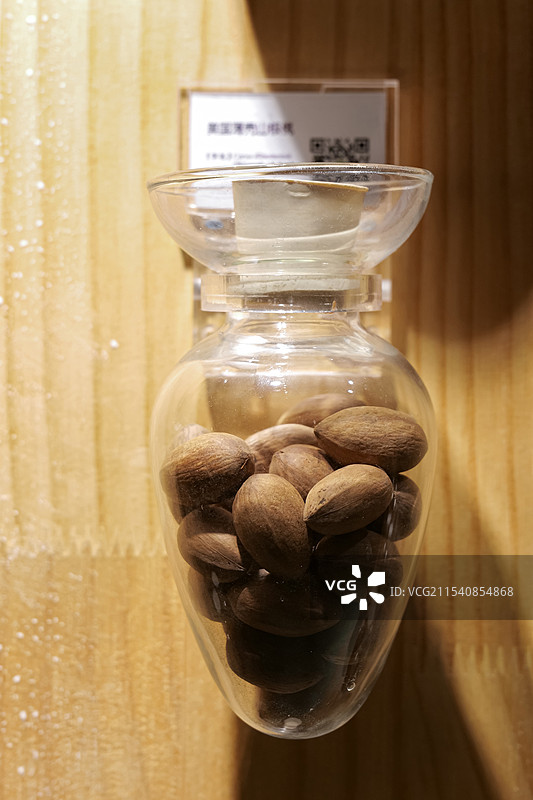 美国薄壳山核桃植物标本图片素材