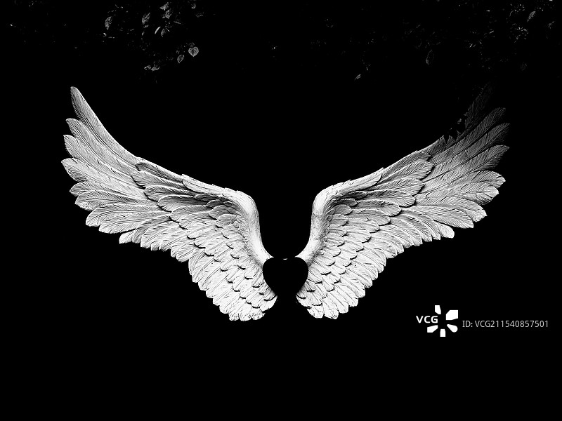 翼图片素材