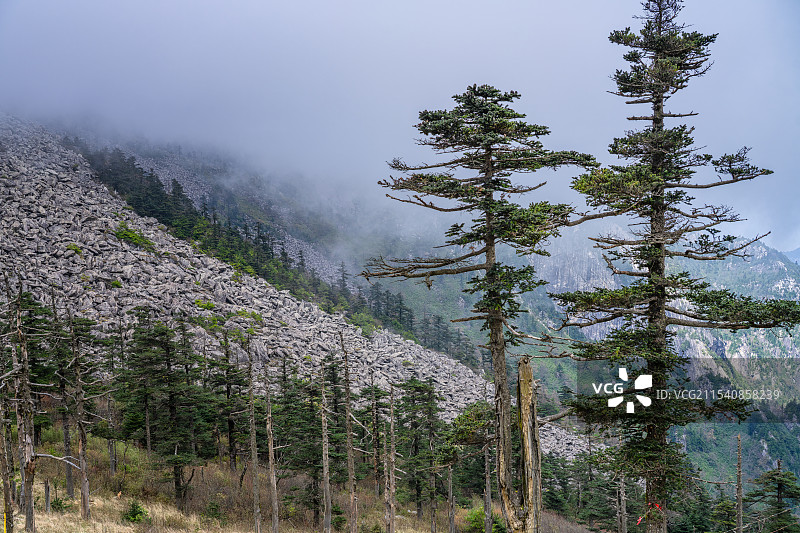 陕西西安秦岭朱雀森林公园图片素材