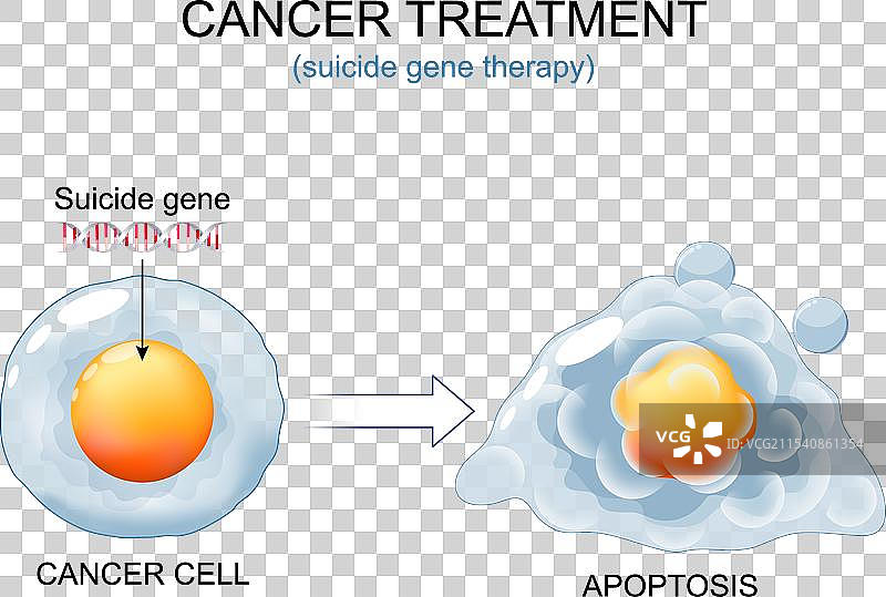 癌症治疗，癌细胞与DNA自杀图片素材