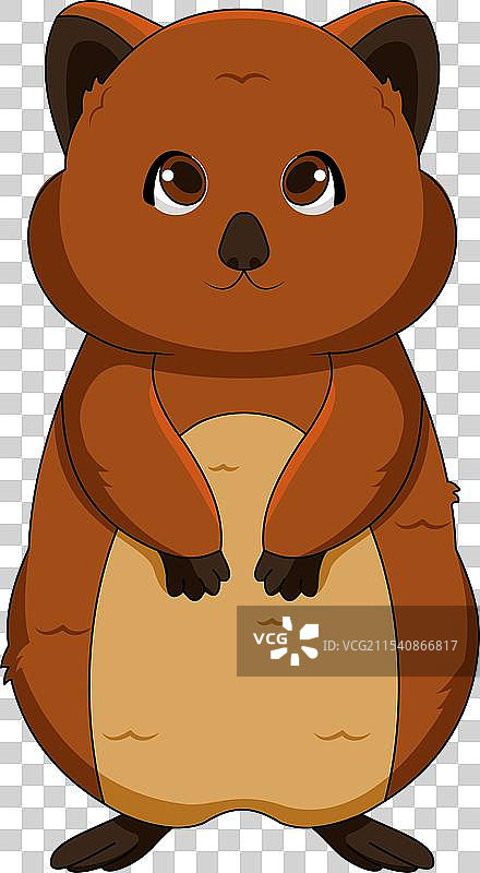 可爱的水獺仰望着天空图片素材