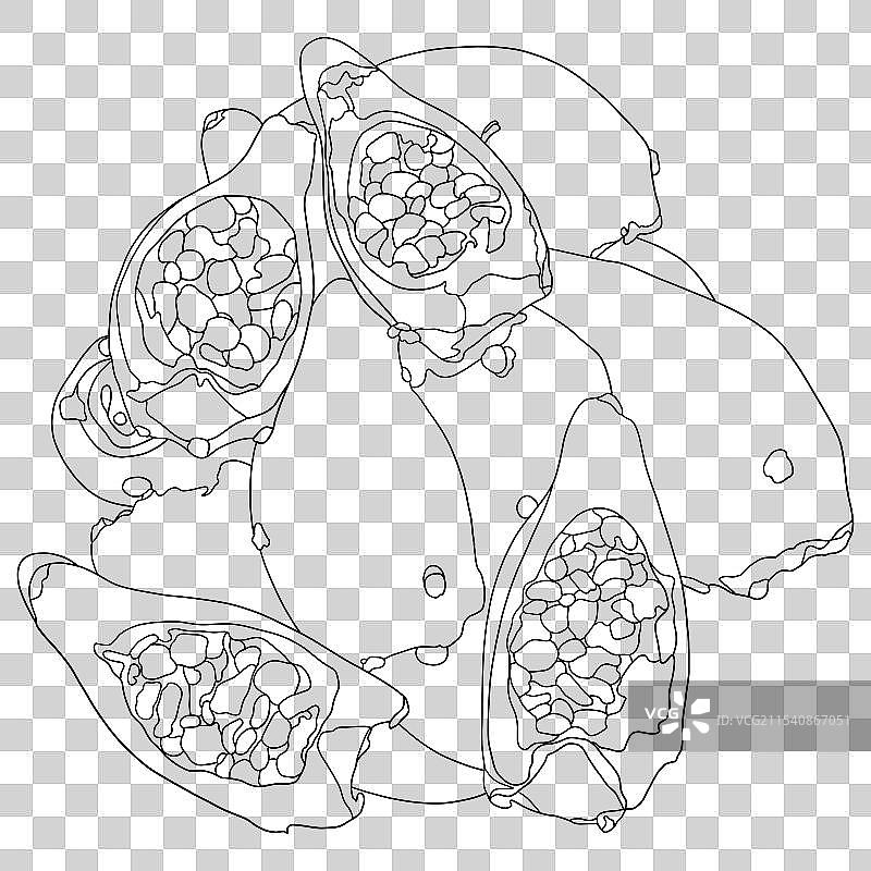 仙人掌果图片素材