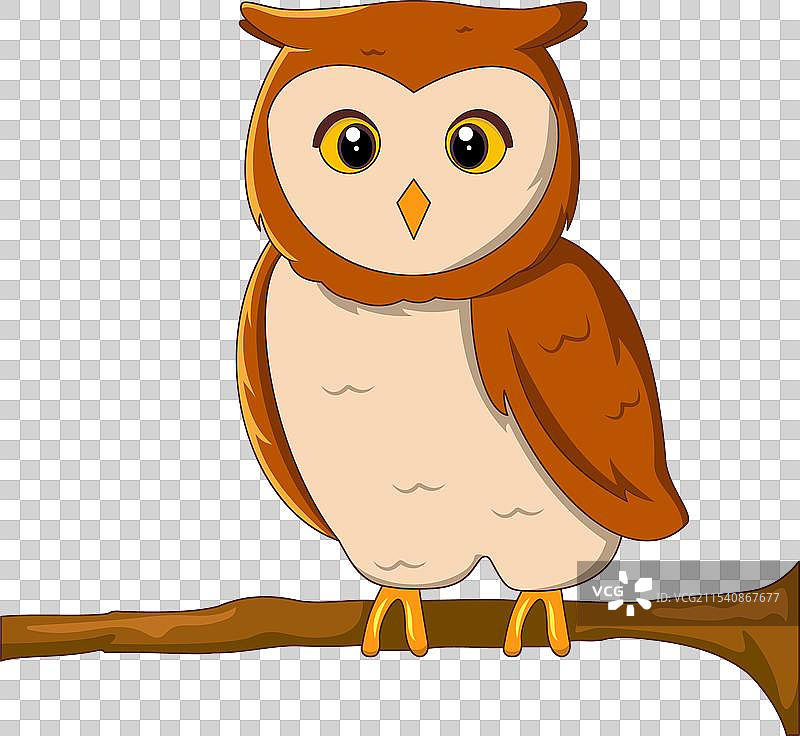 可爱的猫头鹰栖息在树干上图片素材