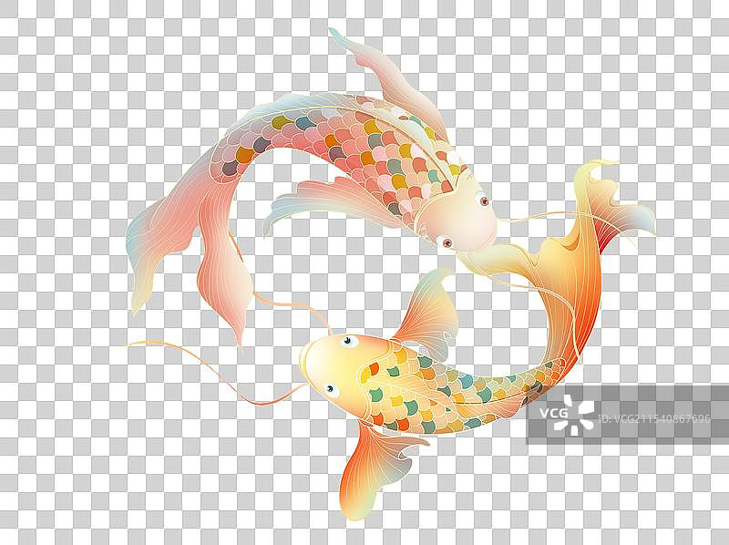 手绘国潮风锦鲤鱼鲤鱼好事成双免抠图片素材