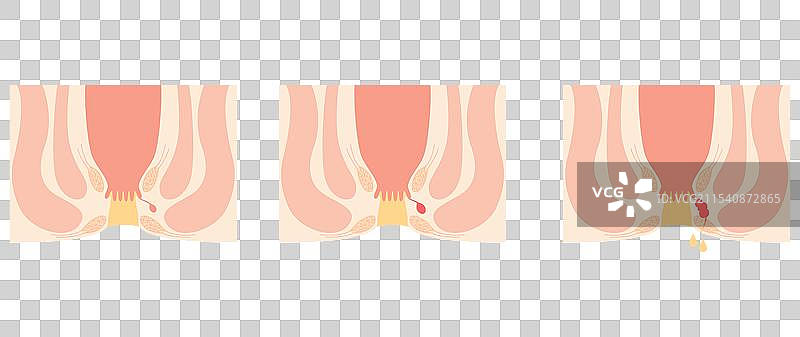 横截面视图图片素材