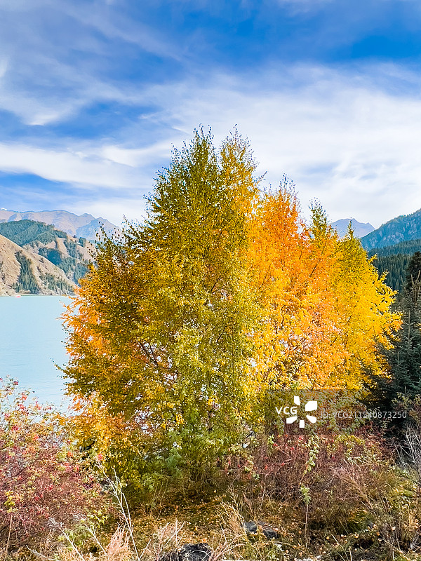 新疆天池图片素材