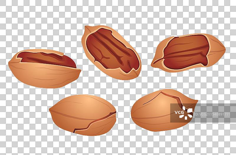 春节新年年俗插画年货干果坚果类碧根果元素图片素材