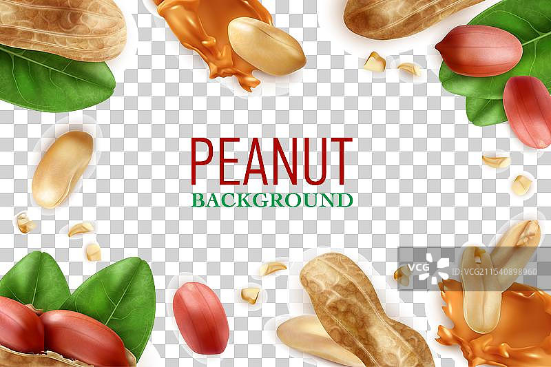 逼真的花生框架图片素材