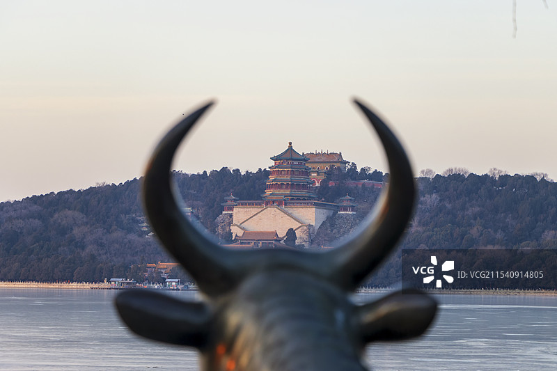 颐和园铜牛图片素材