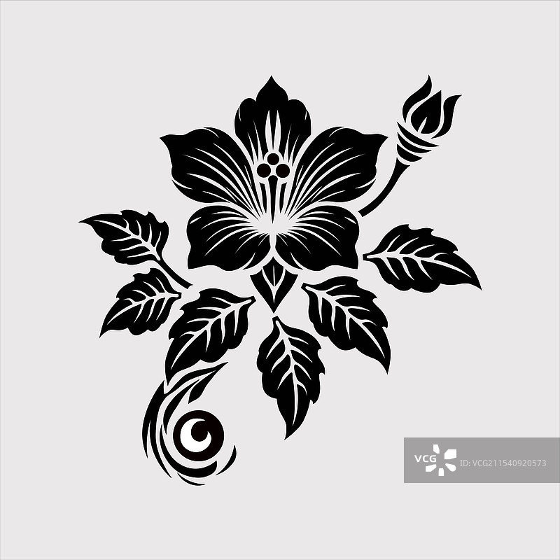 优雅的木槿花轮廓设计图片素材