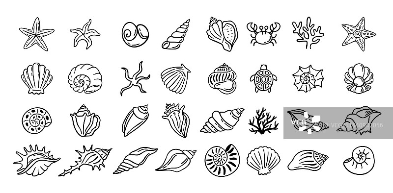 贝壳涂鸦手绘风格轮廓集图片素材