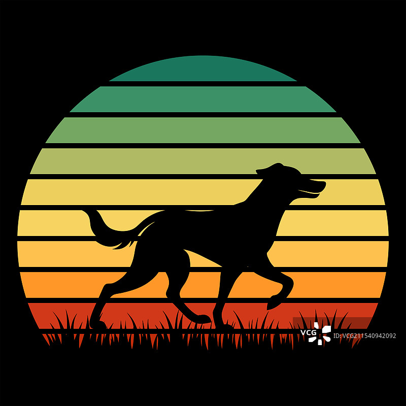 安纳托利亚牧羊犬在日落时的复古风格图片素材