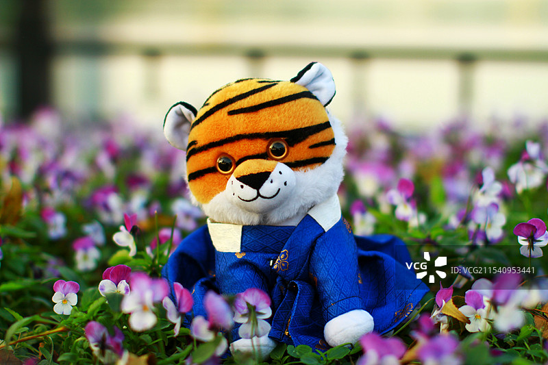 布偶小老虎图片素材