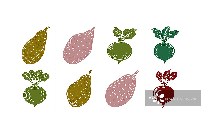 甘薯甜菜蔬菜艺术图片素材