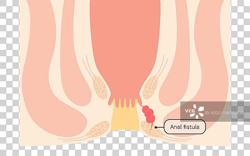 横截面视图图片素材