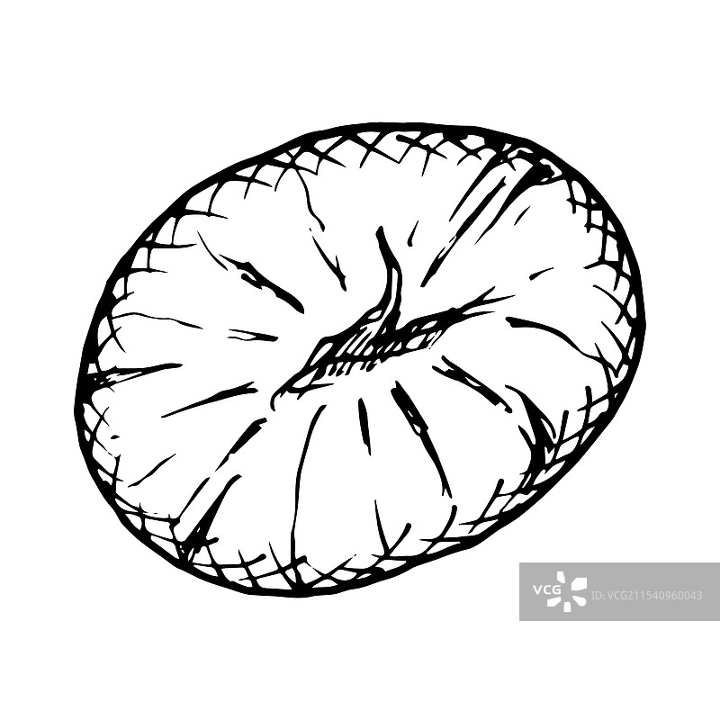 栗子黑白手绘墨水画图片素材