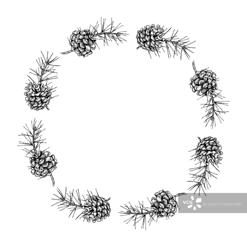 详细的手绘松枝花环图片素材