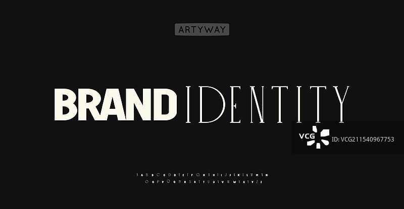 多功能优雅复杂的衬线字体图片素材