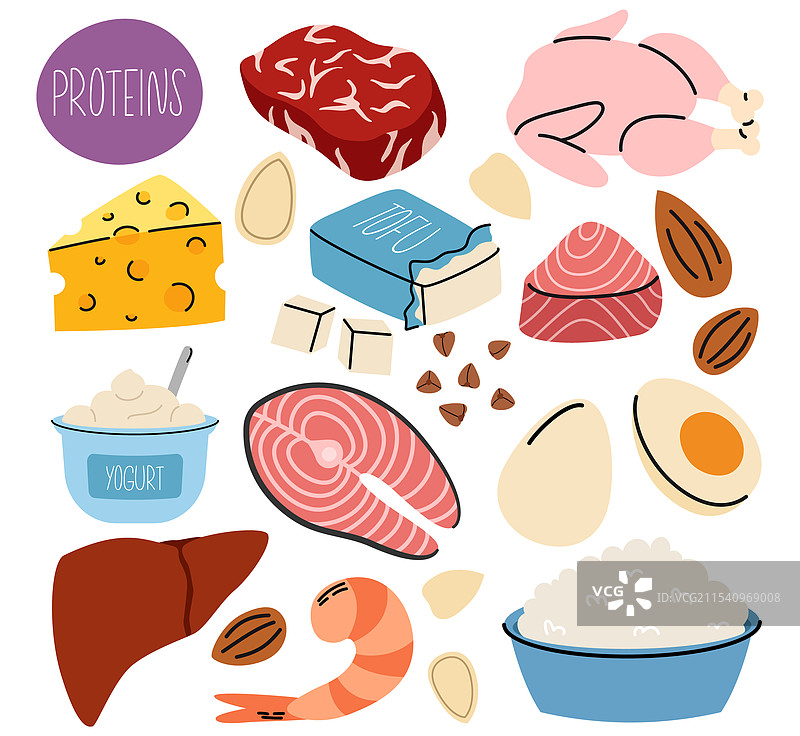 含有蛋白质的食物集合图片素材