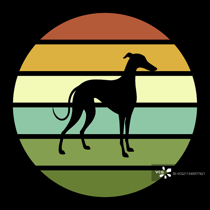 意大利灰狗在日落下的复古风格图片素材