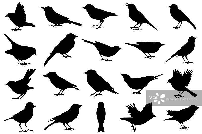 鸟类剪影集合，禽类野生动物图片素材