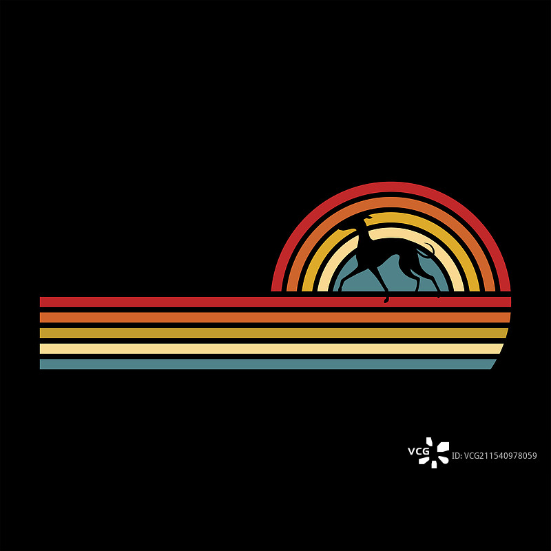 复古意大利灵缇犬图片素材