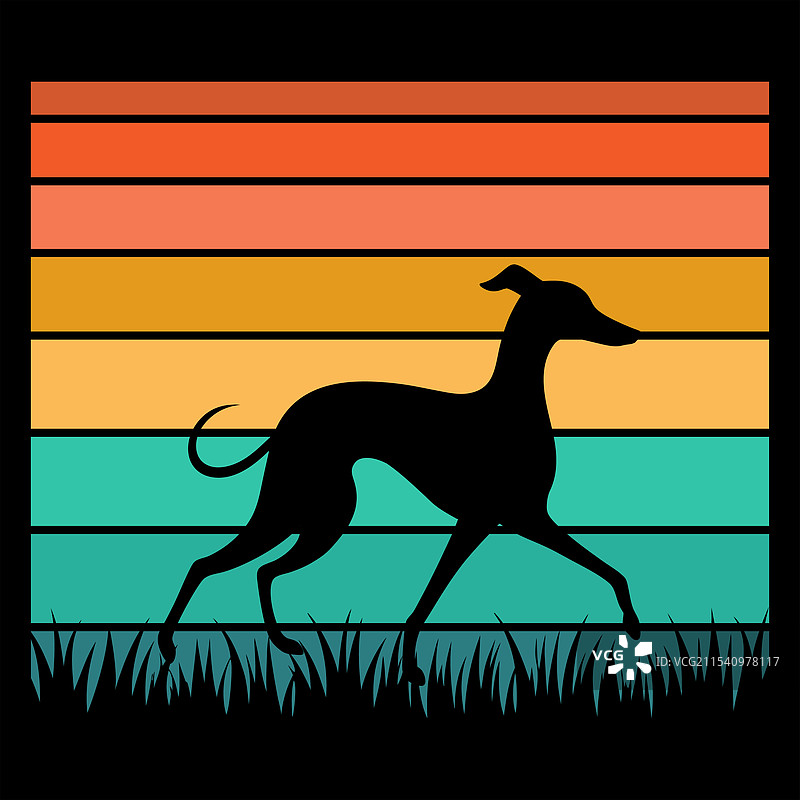 复古意大利灵缇犬图片素材