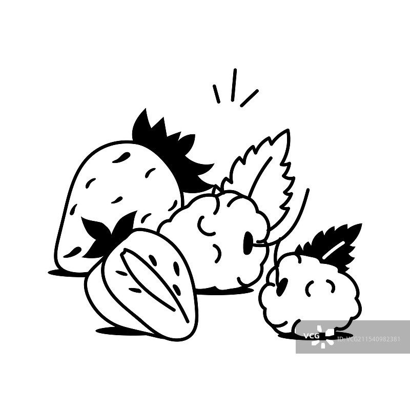 浆果混合图片素材