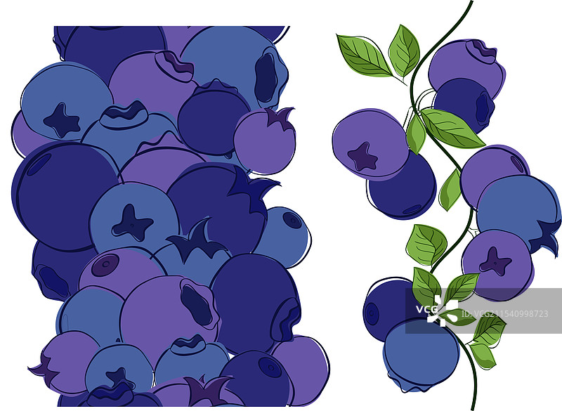 蓝莓枝条无缝垂直边框套装图片素材
