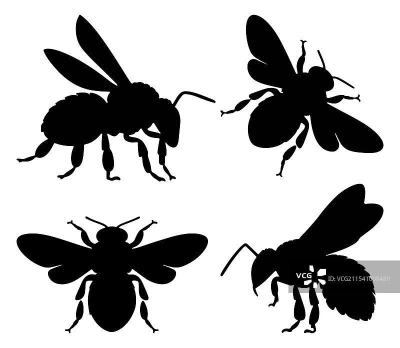 一组黑色昆虫的蜜蜂剪影图片素材
