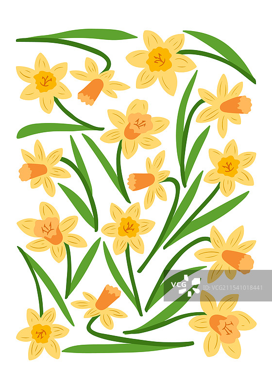 黄色水仙花与绿色叶子图片素材