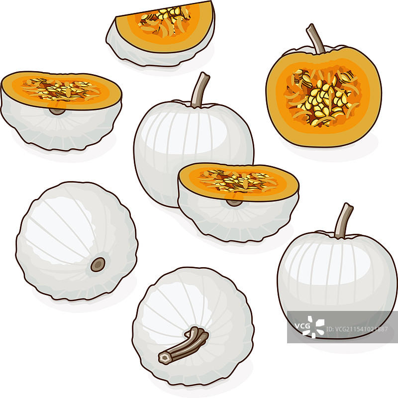 卡斯珀南瓜或露米娜南瓜剪贴画集图片素材