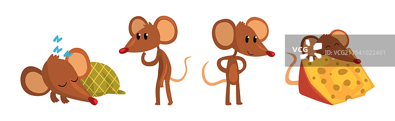 搞笑的小老鼠动物角色正在参与图片素材
