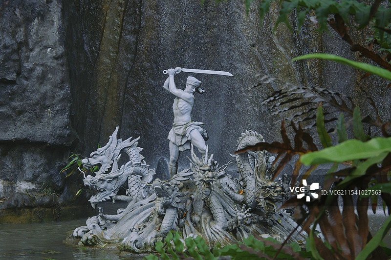 西双版纳原始森林公园景区图片素材