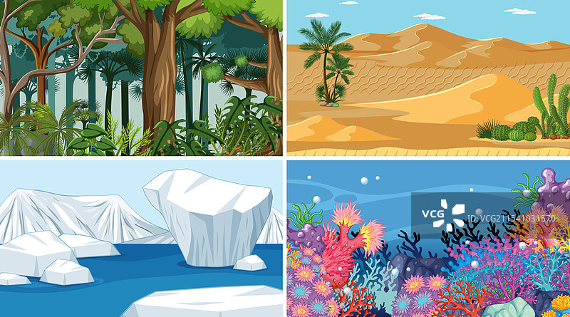 四种独特的自然环境图片素材