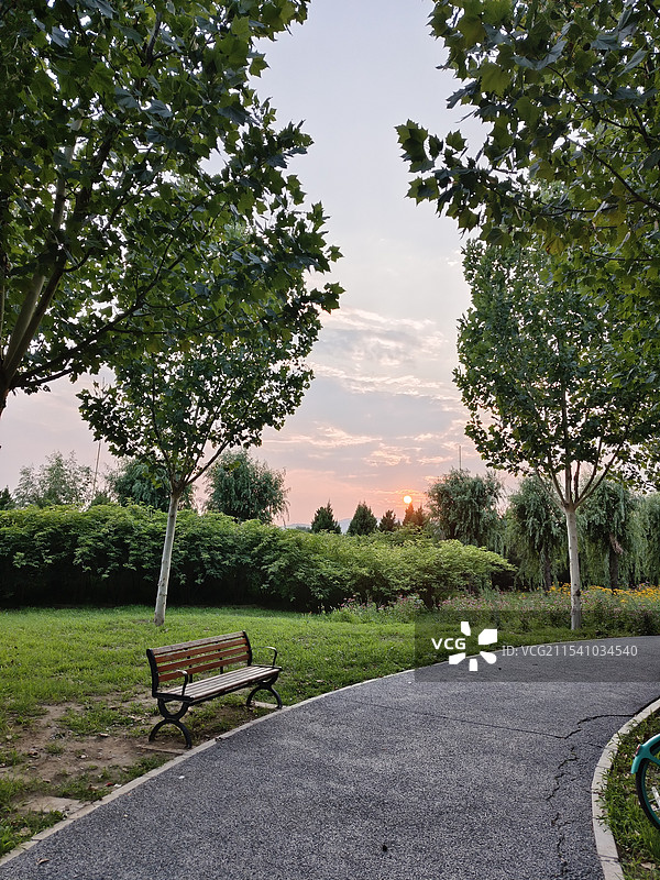 落日下的公园美景图片素材