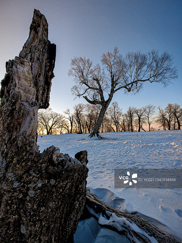 吉林市龙潭区四方顶的树林图片素材
