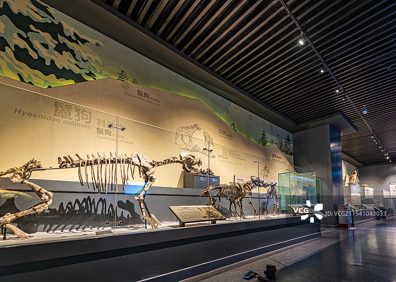 黑龙江大庆博物馆图片素材