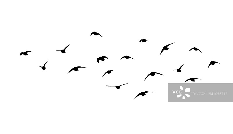 飞翔的鸟类剪影群体手绘图片素材