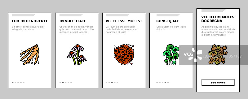 阿育吠陀草药医学健康入职图标图片素材